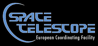 ST-ECF logo